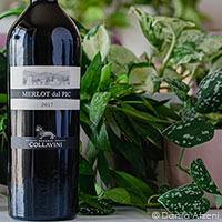 Collio Merlot dal PIC 2017 Collavini