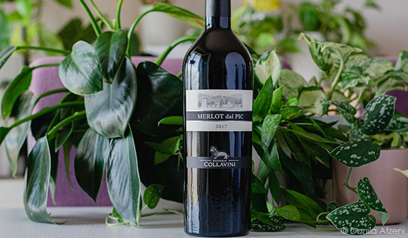 Collio Merlot dal PIC 2017 Collavini