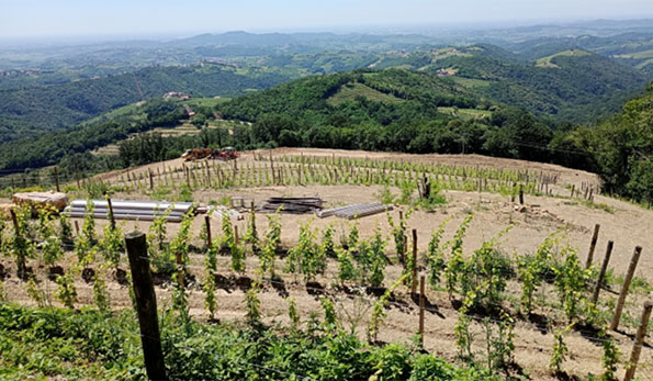 Il nuovo impianto in fase di realizzazione a 470-480 mt. nel Goriska Brda