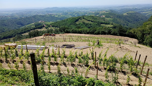 Il nuovo impianto in fase di realizzazione a 470-480 mt. nel Goriska Brda