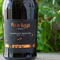 Lambrusco Reggiano Secco Pra di Bosso Storico Casali Viticultori