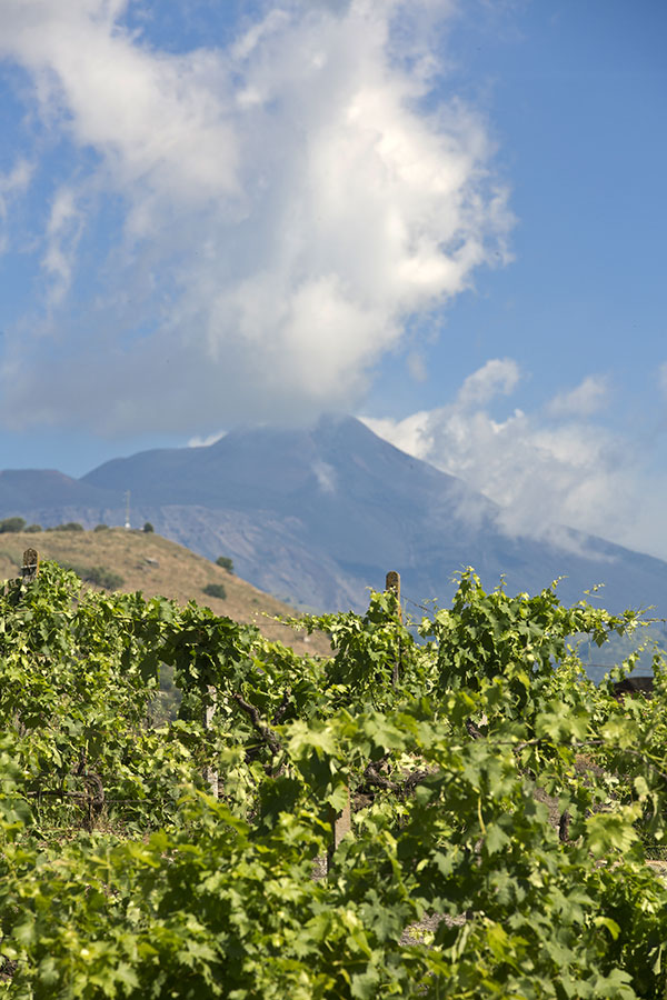 L'Etna sullo sfondo