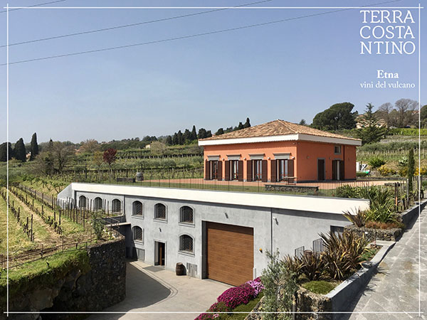 Terra Costantino - La cantina ipogea