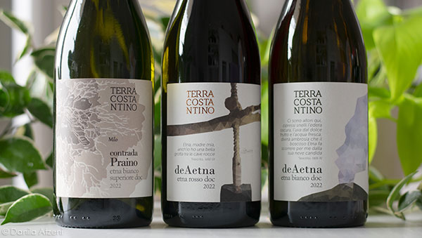 Vini Terra Costantino