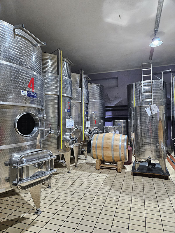 Cantina azienda 'A Vita