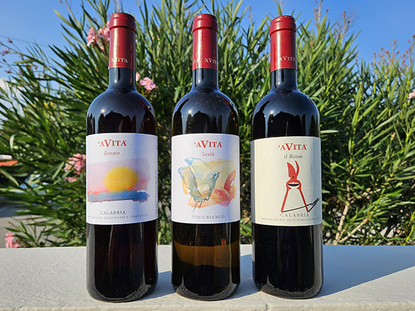 Vini azienda 'A Vita