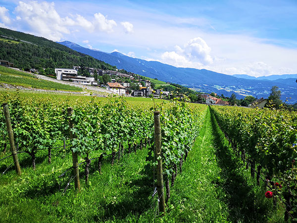 Abbazia di Novacella