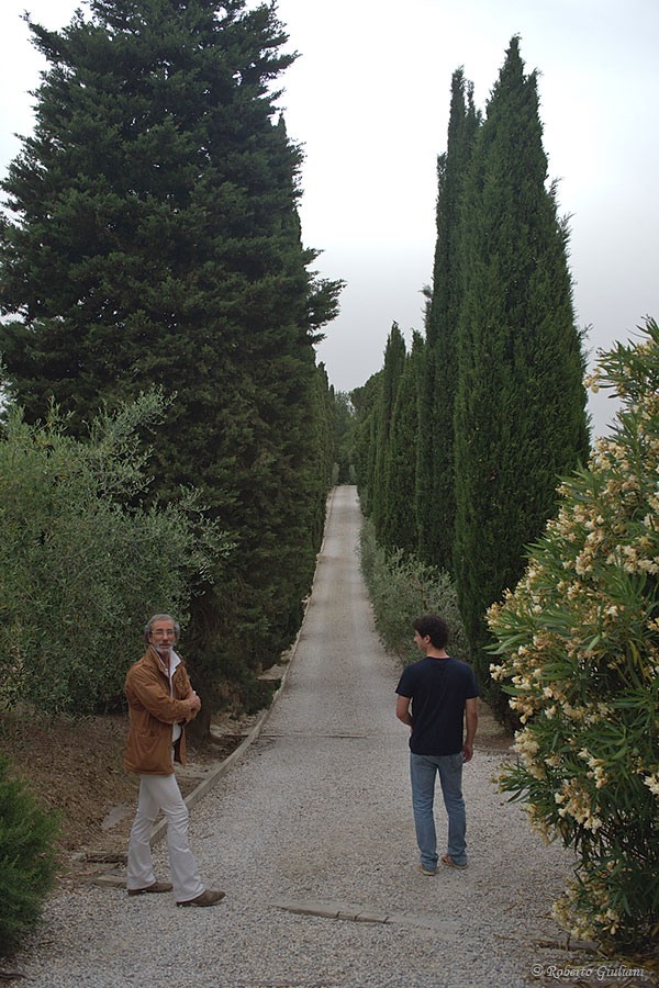 Gli immancabili cipressi