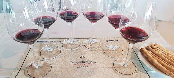 Campania Stories 2024