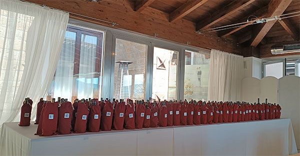 Campania Stories 2024