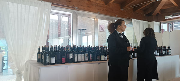 Campania Stories 2024