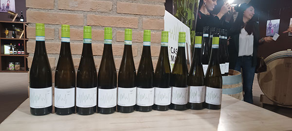 Vini Cascina Maddalena