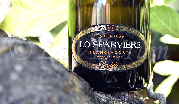 Franciacorta Extra Brut Millesimato Sylvò 2015 Lo Sparviere