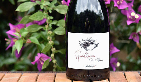 Friuli Pinot Nero Spartaco 2019 La Bellanotte