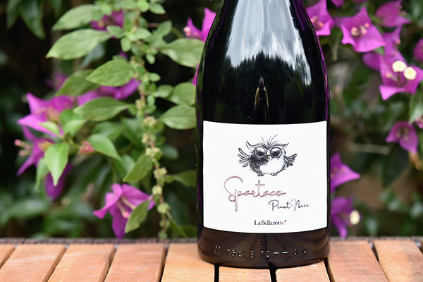 Friuli Pinot Nero Spartaco 2019 La Bellanotte