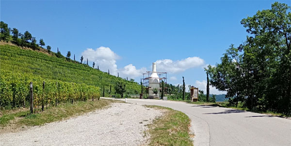 La vigna con la bottiglia sullo sfondo