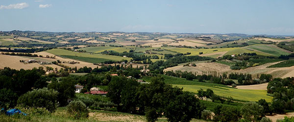Le Marche
