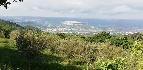 Panorama nell'area di Orvieto