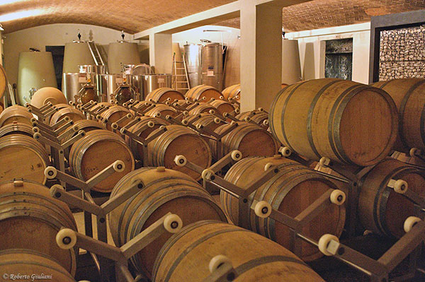 Podere Forte bottaia