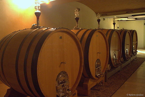 Podere Forte bottaia