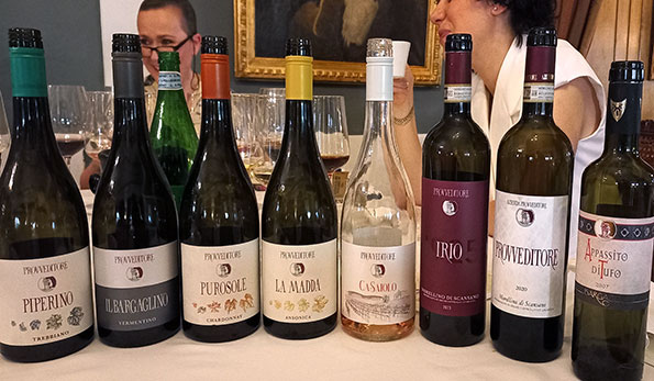 Vini azienda Provveditore