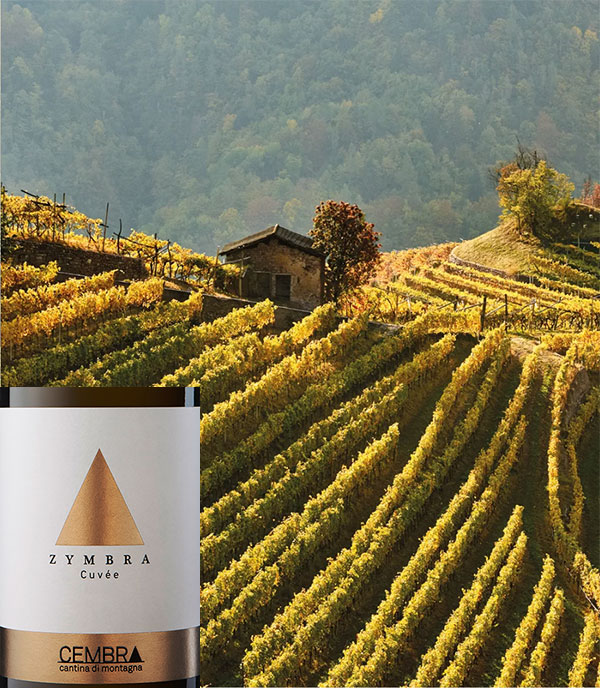 Zymbra Cuvée
