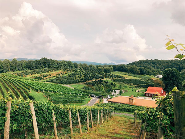 Linville Falls Winery