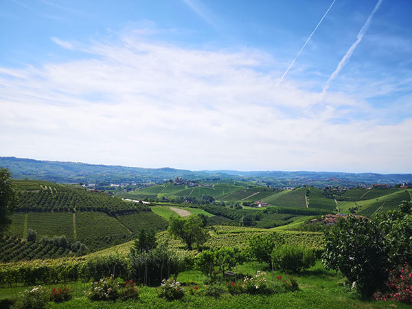 Vigneti Giovanni Abrigo