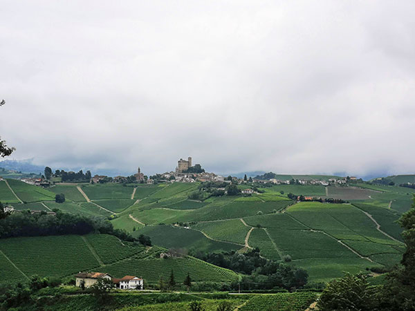 Sullo sfondo il castello di Serralunga