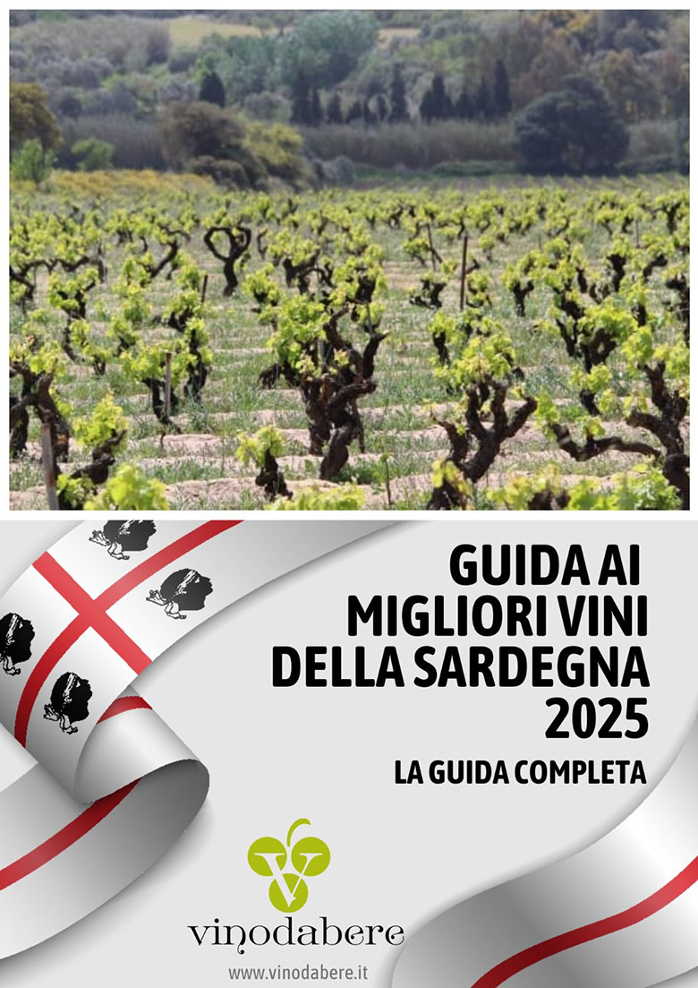 Guida ai migliori vini della Sardegna 2025