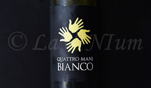 Quattro Mani Bianco 2020 Luca Di Piero
