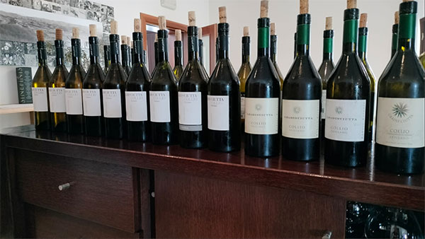 Friulano Gradis'ciutta