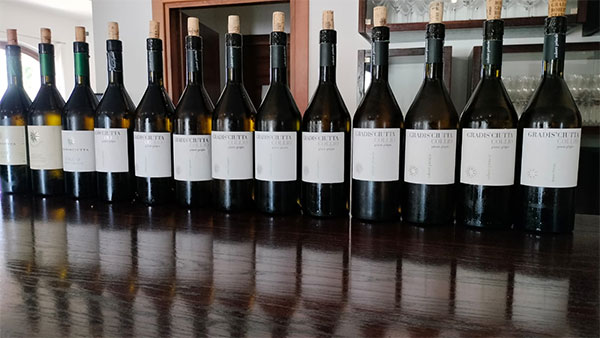 Pinot Grigio Gradis'ciutta