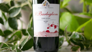 Terre di Pisa Rosso Il Barbiglione 2020 Usiglian del Vescovo