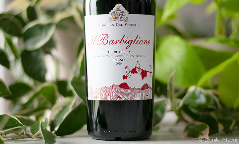 Terre di Pisa Rosso Il Barbiglione 2020 Usiglian del Vescovo