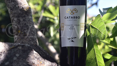 Tintilia del Molise Rosso Colle Cervino 2019 Catabbo