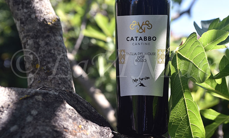 Tintilia del Molise Rosso Colle Cervino 2019 Catabbo