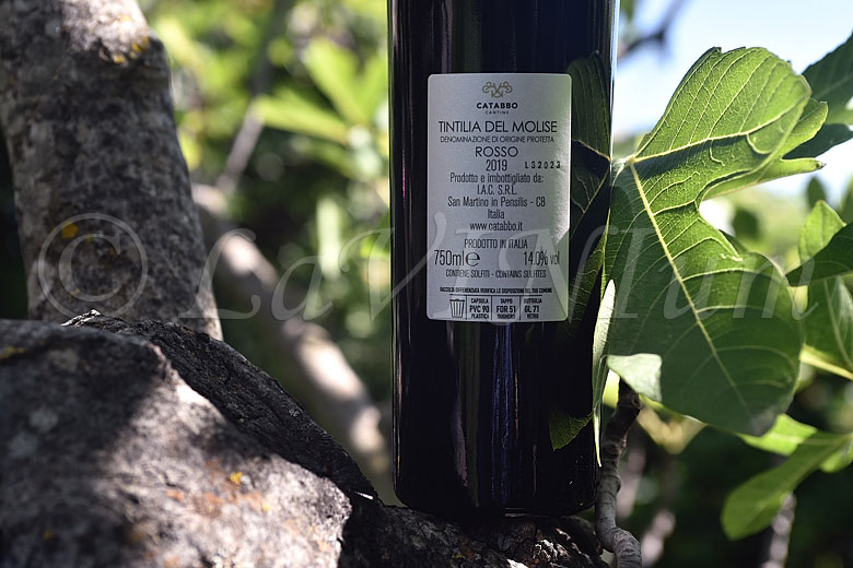 Tintilia del Molise Rosso Colle Cervino 2019 Catabbo