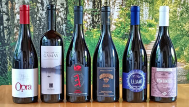 Vini Trasimeno Gamay