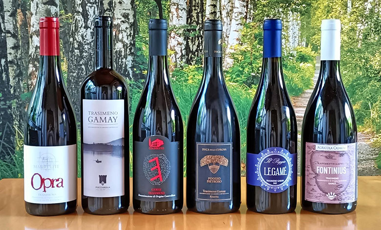 Vini Trasimeno Gamay