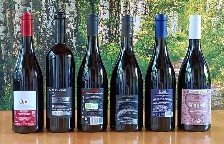 Vini Trasimeno Gamay