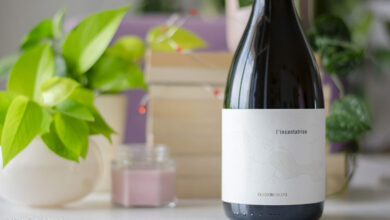 L'Incantatrice 2021 Diego Bosoni