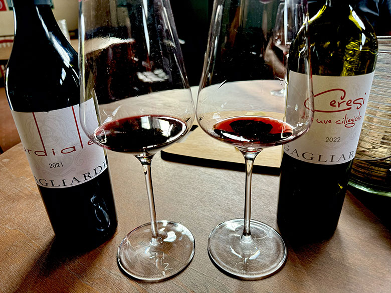 Ardiale 2021 e Ceresi 2022 Gagliardi