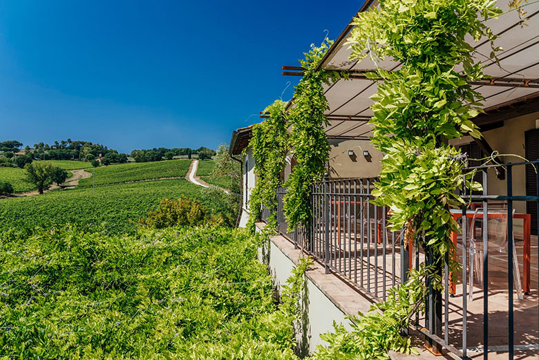 Azienda Arnaldo Caprai