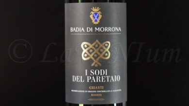 Chianti I Sodi del Paretaio Riserva 2021 Badia di Morrona