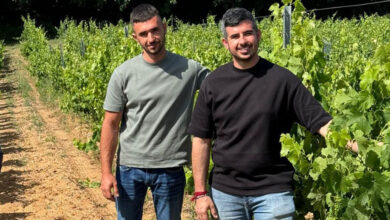 Federico e Raffaele in vigna