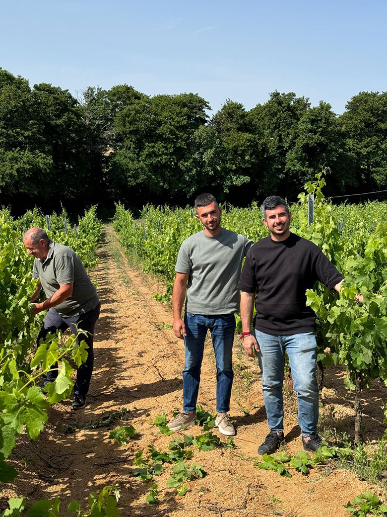 Federico e Raffaele in vigna
