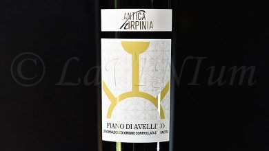 Fiano di Avellino 2023 Antica Hirpinia