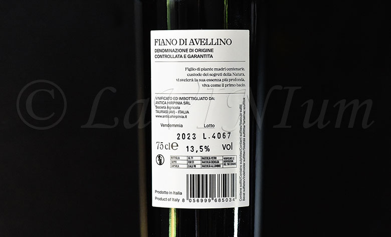 Fiano di Avellino 2023 Antica Hirpinia