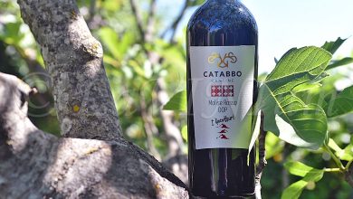 Molise Rosso I Diecettari 2019 Catabbo